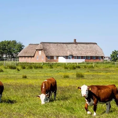 0002-romo-juvrevej-89 Holiday home Toftum (Syddanmark)